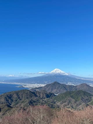 Discover Tranquility at Ao Terrace: A Hidden Gem on Mount Katsuragi in Izu