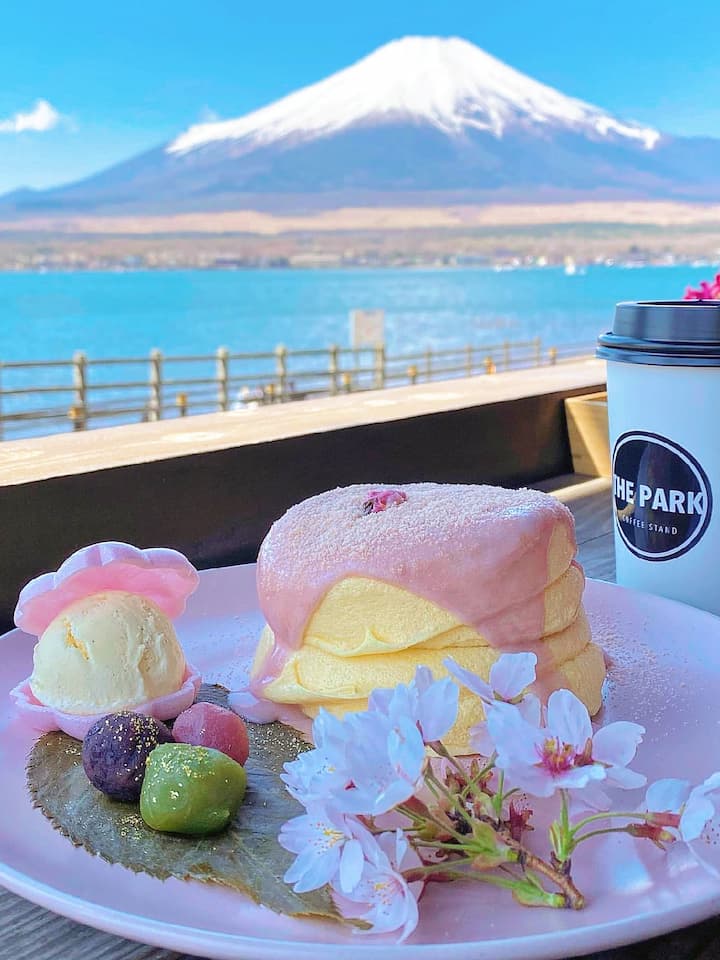 A cafe with a stunning view of Mount Fuji: Fujimi Cafe