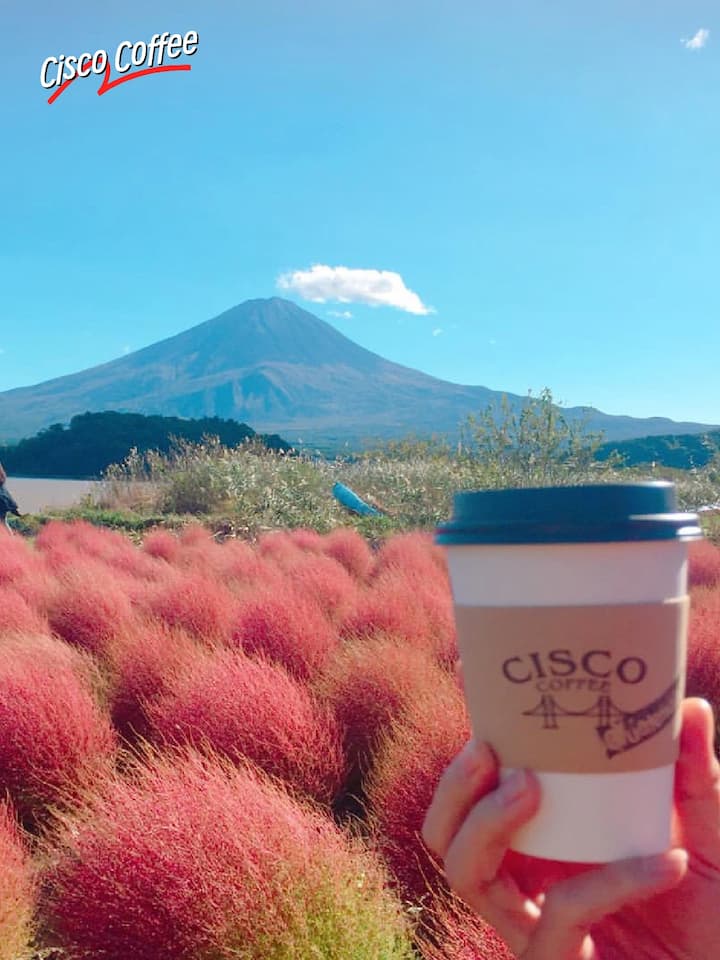 A cafe with a stunning view of Mount Fuji: CISCO Coffee