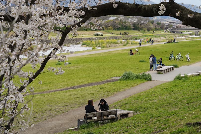 Banks of the Kamo River