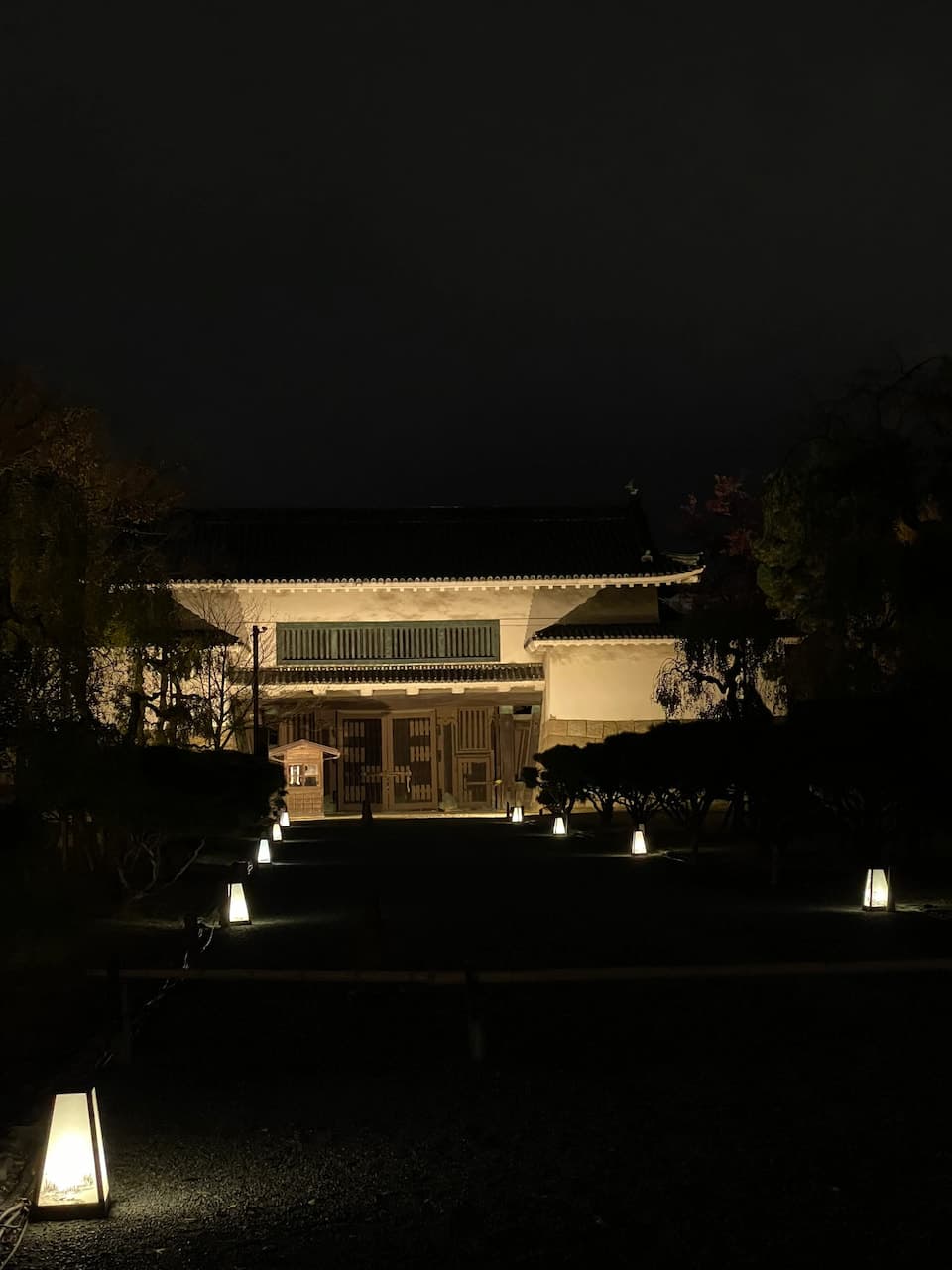 Kyoto's Enchanting Night at Nijo Castle