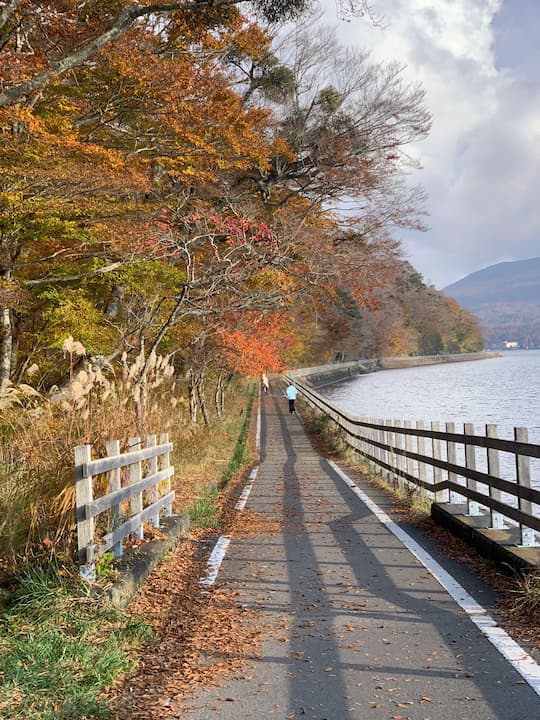 Enjoy a scenic bike ride around Lake Yamanaka, with Mount Fuji visible in the distance