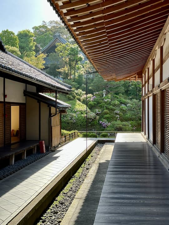 Lush, green scenery visible outside the guest room at Chishakuin Temple in Kyoto, creating a peaceful atmosphere