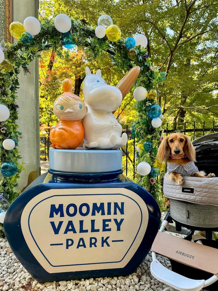 Enchanting scene from Tokyo MOOMINVALLEY PARK featuring whimsical buildings and Moomin characters