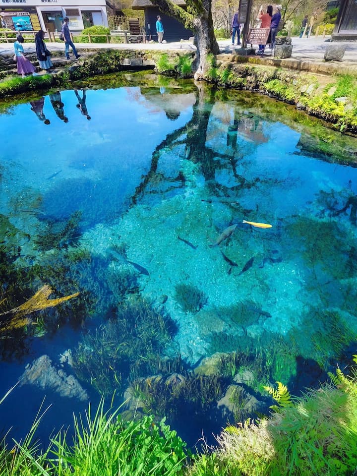 Crystal-clear pond in Oshino Hakkai reflecting the majestic Mount Fuji, surrounded by traditional Japanese houses.