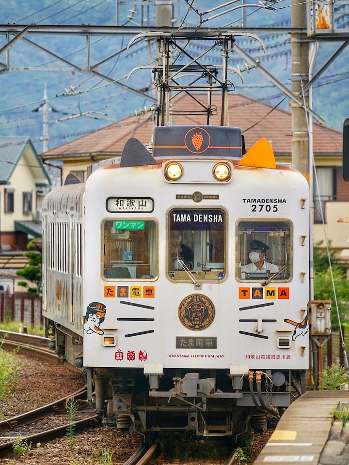 The Wakayama Electric Railway train with cat-themed décor and a plush, friendly cat stationmaster, Tama, at the platform