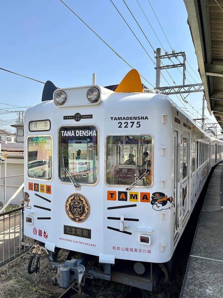 The Wakayama Electric Railway train with cat-themed décor and a plush, friendly cat stationmaster, Tama, at the platform