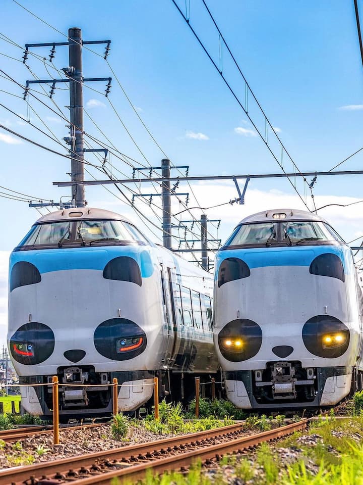 The Panda Kuroshio Limited Express train, featuring panda-themed exterior and interior decorations, perfect for panda lovers