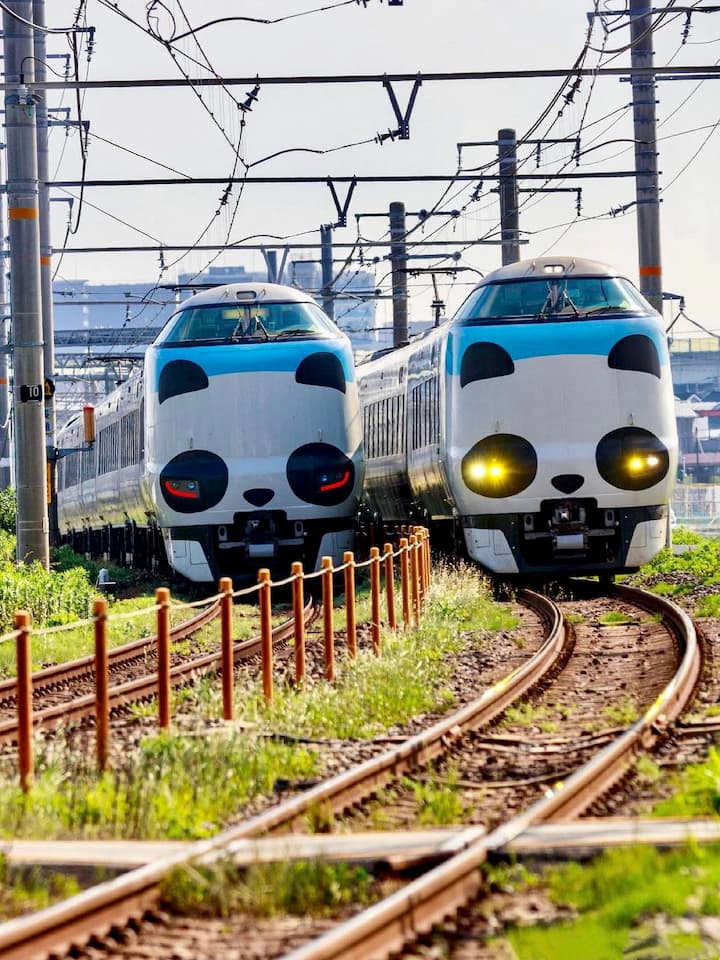 The Panda Kuroshio Limited Express train, featuring panda-themed exterior and interior decorations, perfect for panda lovers