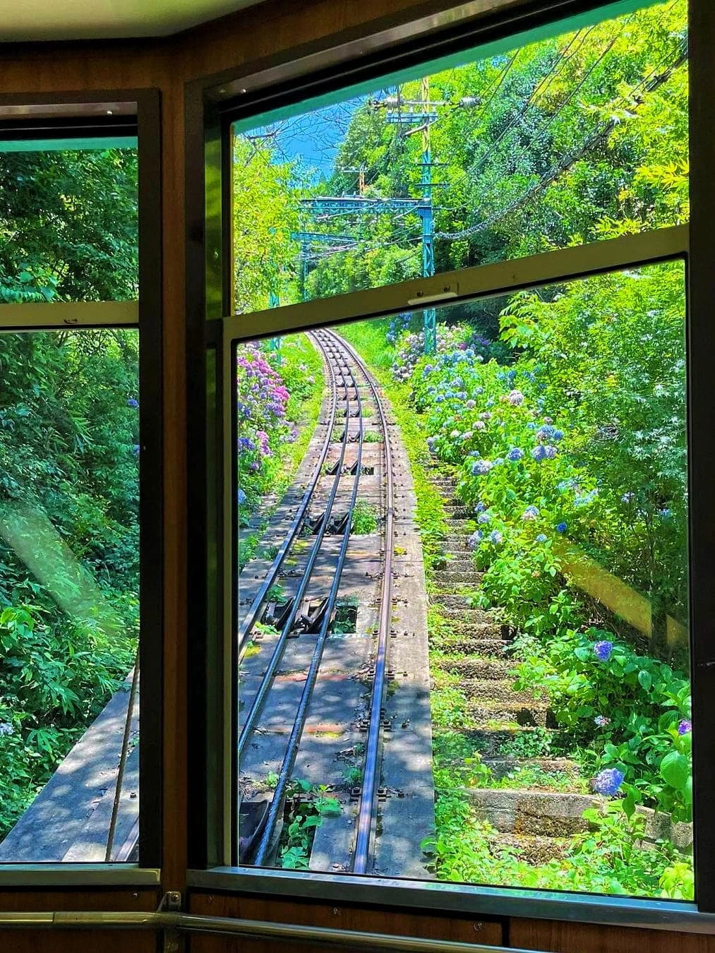 Scenic journey from Osaka to the serene Rokko Mountain Pasture in Kobe