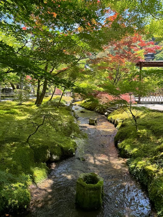 kyoto Eikando Temple