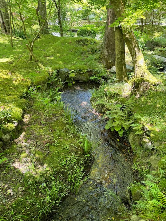 kyoto Eikando Temple