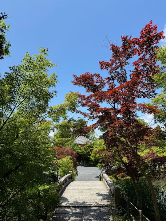 kyoto Eikando Temple