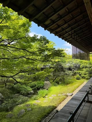 Eikando Temple in Kyoto: Hidden Gem for Autumn Leaves and Serenity