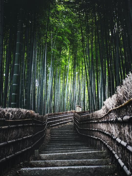 The vibrant red torii gates of Fushimi Inari Taisha with a scenic view from the mountaintop