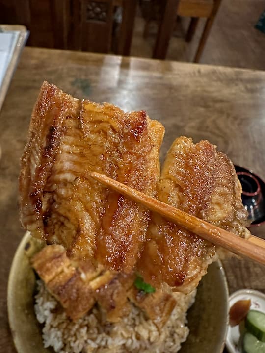 Unadon at Usuya, an unagi restaurant in Kyoto: Rich and indulgent flavors of grilled eel