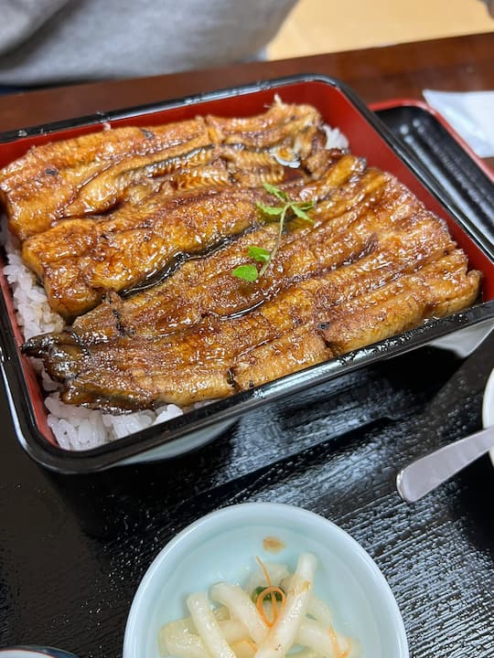 Exquisite kappo cuisine, including sashimi rice bowls and grilled eel in Uoshige, a restaurant in Mount Fuji