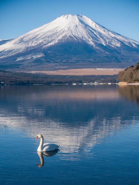 Hirano Beach, Attractions near Mount Fuji Lake Yamanaka