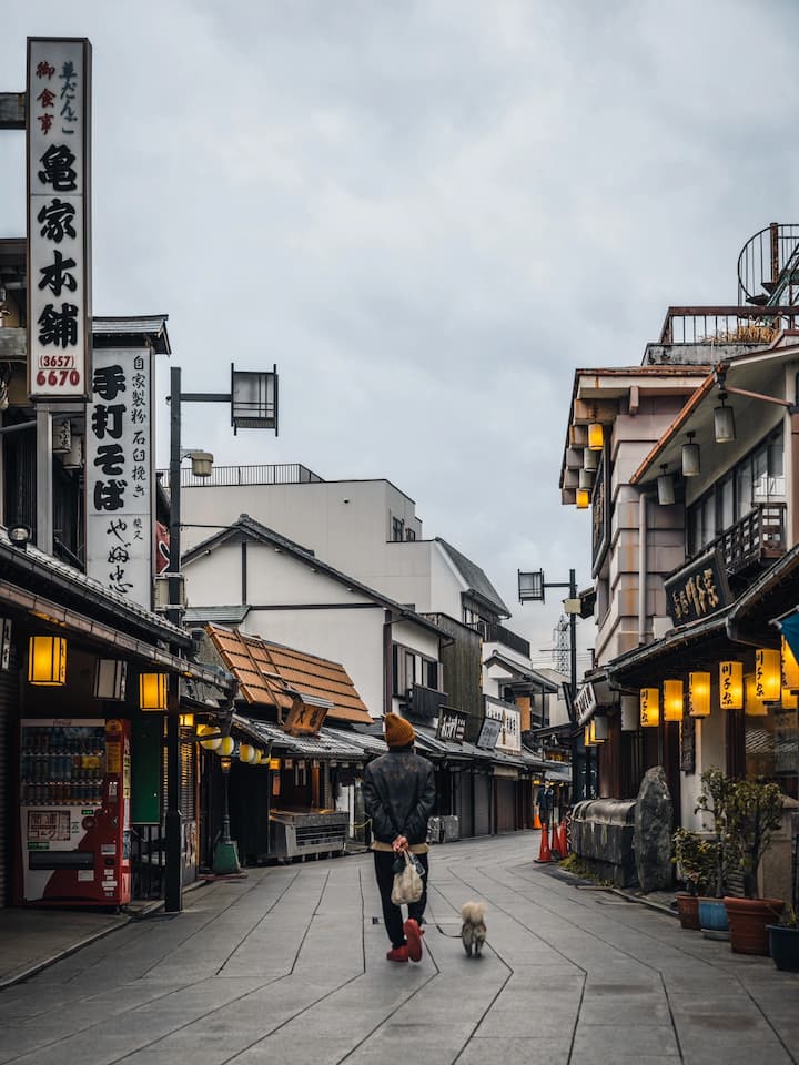 Retro-style shops and buildings along a bustling street in Shibamata, showcasing unique merchandise and traditional Japanese snacks