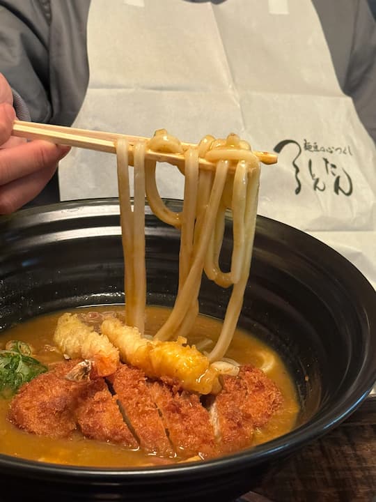 Osaka restaurants main dish recommendations, Tsurutontan Kitashinchi (麺匠の心つくし つるとんたん)