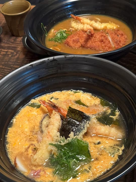 Osaka restaurants main dish recommendations, Tsurutontan Kitashinchi (麺匠の心つくし つるとんたん)